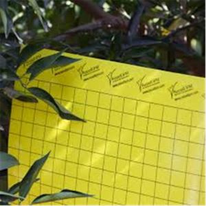 Lepljive-plošče-L-rumene